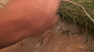 Веники для бани. Еловый веник, Пихтовый веник, Можжевеловый веник