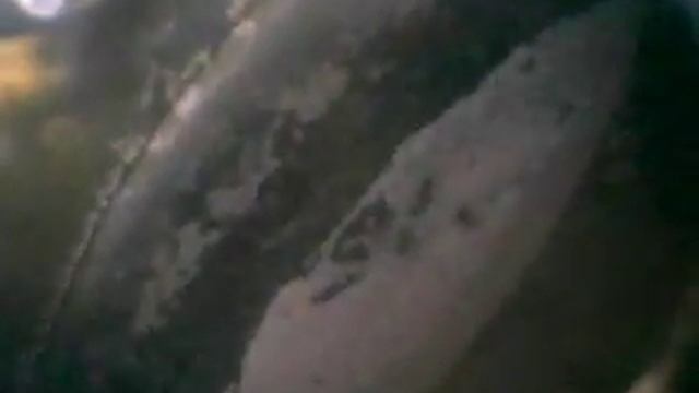 Ниссан Альмера, пробег 348 тыс. смотреть онлайн