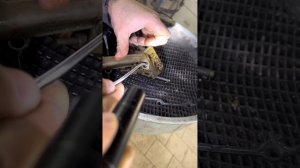 Лада Ларгус, выдавливает масло из под масляного фильтра! #лада #largus