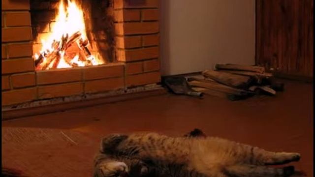 Ноябрьские ночи . Комарова Эльза смотреть онлайн