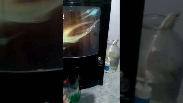 Кофемашина автоматическая Bianchi Gaia bvm-303 смотреть онлайн