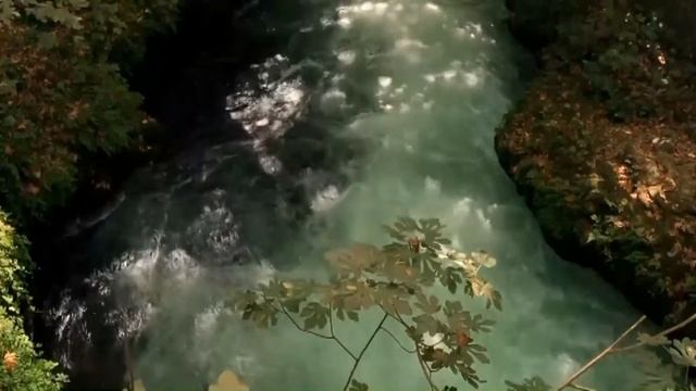 Лесной ручей .Мелодия для отдыха и сна#relax music смотреть онлайн