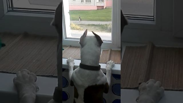 Когда мама не отпускает гулять с друзьями смотреть онлайн