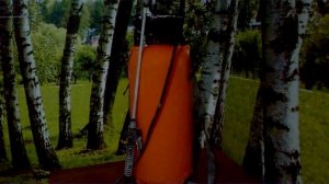 Как избавиться от жука короеда Самый лучший способ