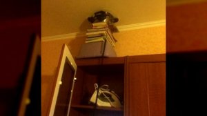 Он придумал Эффективный Способ, как Проучить Шумных Соседей! Гениально