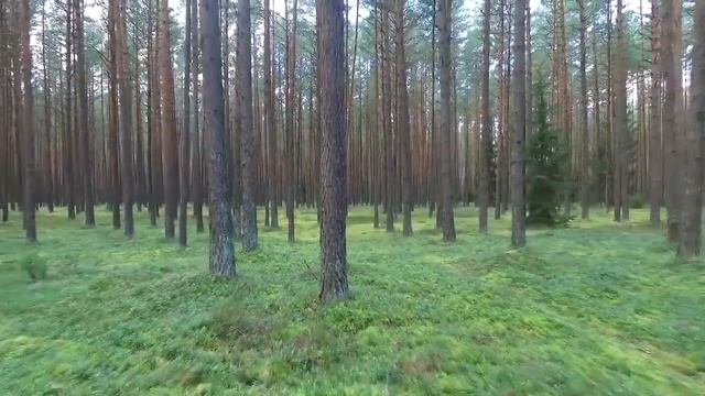 Что читать?(А.Дугин о том, что нужно читать для ознакомления с философией традиционализма.) смотреть онлайн