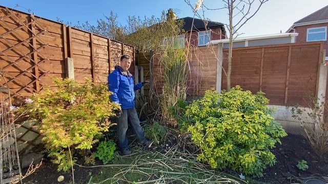 How and When To Prune Pampas Grass - Cortaderia selloana смотреть онлайн