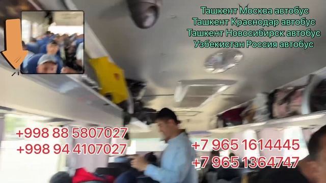 Ташкент Краснодар автобус Ташкент Саратов автобус Ташкент Волгоград автобус Ташкент Ростов автобус смотреть онлайн