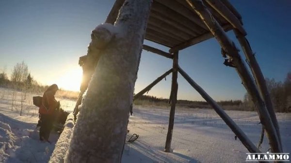 Дальномер Nikon Prostaff 5 | Магазин ALLAMMO.RU