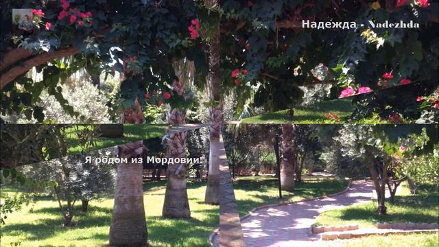 Зелёный оазис отеля MC Arancia Resort Hotel. Фотозарисовки.