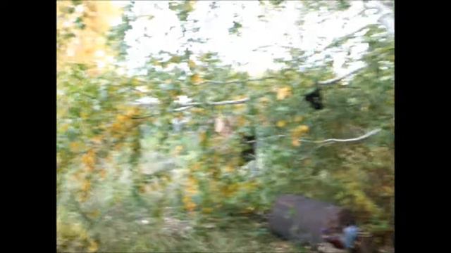 Осень на даче. смотреть онлайн