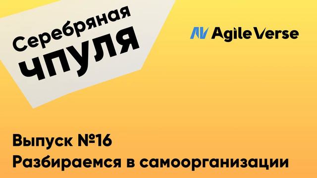 Чпуля №16. Разбираемся в самоорганизации смотреть онлайн