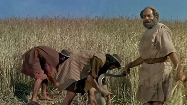 Сказание о Руфи.mp4 смотреть онлайн