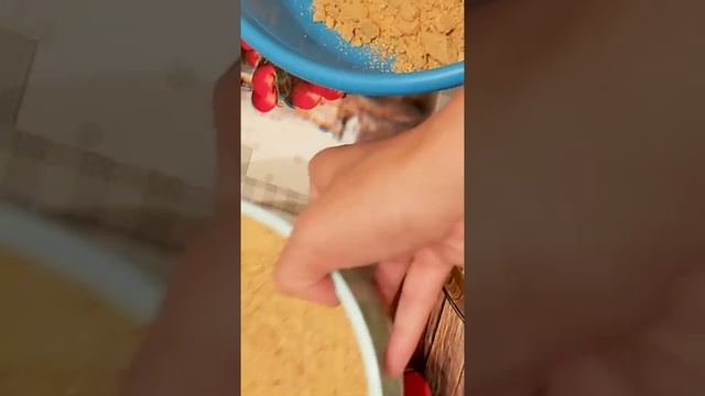 ТАРЫ, ЖЕНТ, ТАЛҚАН от А до я Казакша рецепт.Millet Үй жағдайында тары дайындау әдісі смотреть онлайн