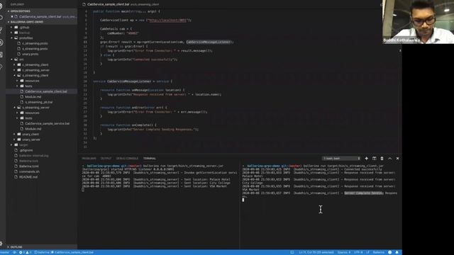 gRPC in Ballerina - Monthly Tech Talk - 9/1/2020 смотреть онлайн