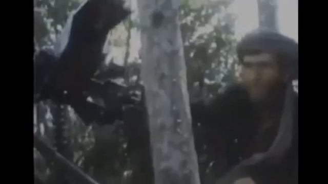 БЕЛЫЙ ВАЛЬС смотреть онлайн