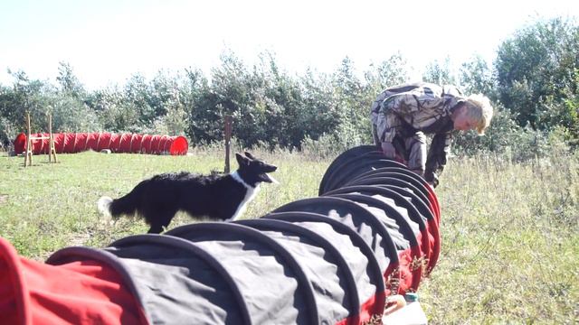 Соленый Пёс смотреть онлайн