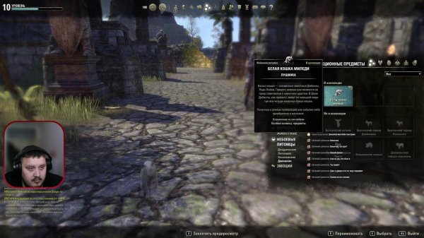 Играем, общаемся и просто классно проводим время!