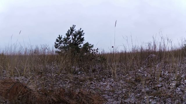 Удачная охота на тетерва с чучелами, ИЖ-27 смотреть онлайн