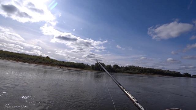 ВСЕ ВЫХОДНЫЕ СО СПИННИНГОМ! Рыбалка на ДЖИГ на ОКЕ осенью 2021! смотреть онлайн