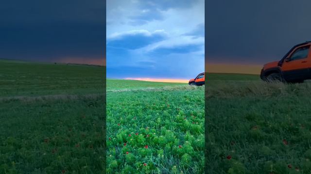 Лазорики смотреть онлайн