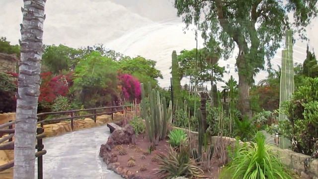 Jungle Park Teneriffa/Tenerife