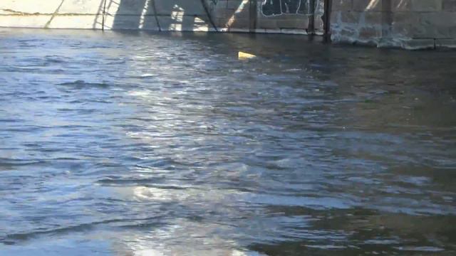 плотина шершни испытание реверсивного караблика!! смотреть онлайн