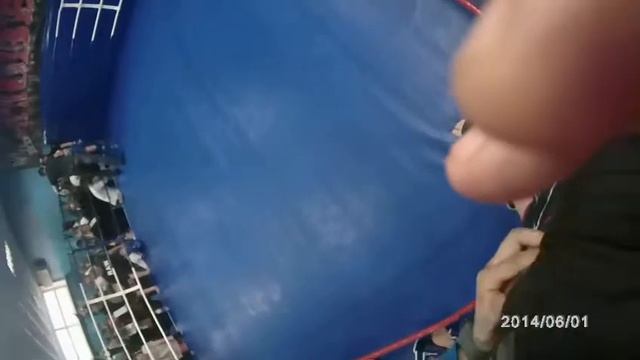 Медведь Никита 11.11.2017 смотреть онлайн