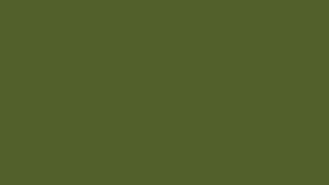 Dark-olive color #556832 HD Темно-оливковый цвет смотреть онлайн