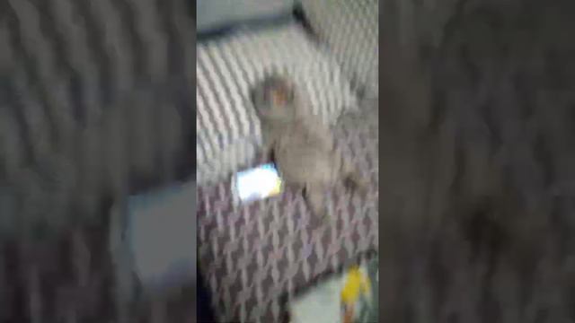 зашла будить басика и тут такое ...... но Басик стал просить прощение и танцевать мне смотреть онлайн