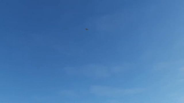 Landing The F-16 For Beginners смотреть онлайн