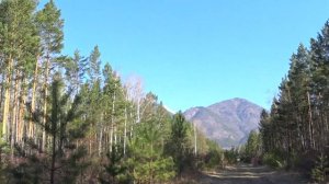 Набрала лишние кг. Утренняя пробежка по лесу. Свежий воздух  красивый вид на горы.