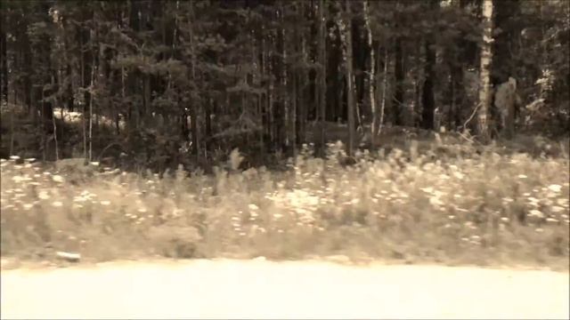 Honda Shadow Motorbike смотреть онлайн