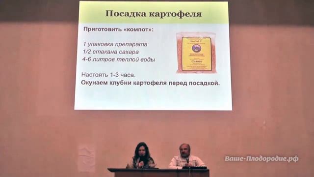 Выращивание картофеля. Как получить ведро с куста смотреть онлайн