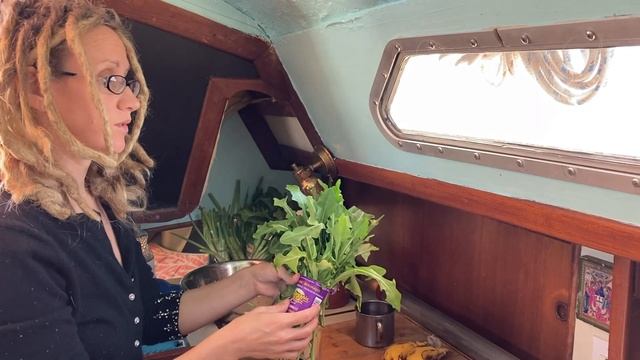 Interlude: Natural ways of fighting seasickness / acupressure bracelets & a plant-based diet смотреть онлайн