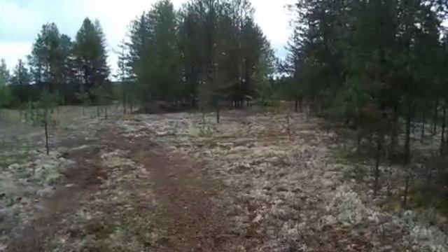 КАРСТОВЫЕ ПРОВАЛЫ И ПАРАСЬКИНЫ ОЗЁРА... смотреть онлайн