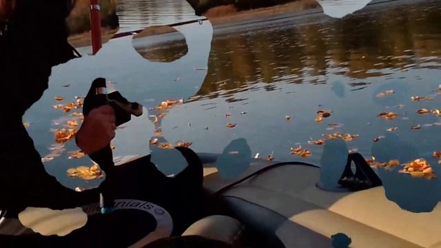 Закрываем сезон осенней рыбалки по открытой воде 2020 смотреть онлайн