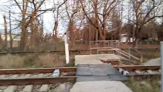 туту! смотреть онлайн