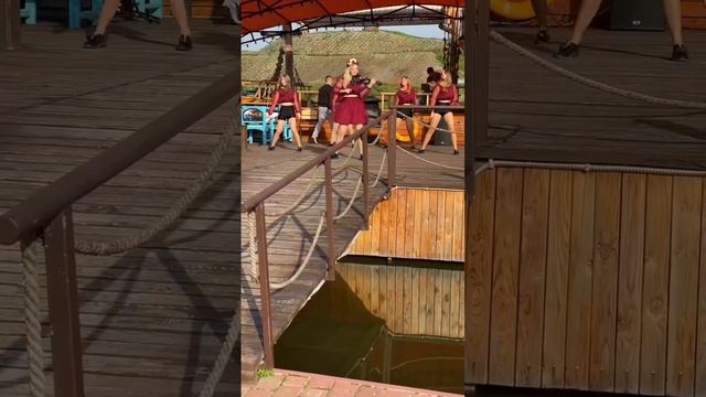 Stefania - KALUSH (violin cover) FeelDanceShow смотреть онлайн