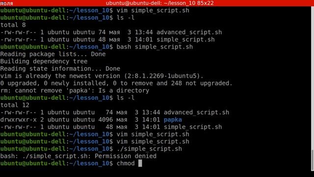 Администрирование Linux (Ubuntu). Урок 10. Автоматизация рутинных задач с помощью BASH. смотреть онлайн