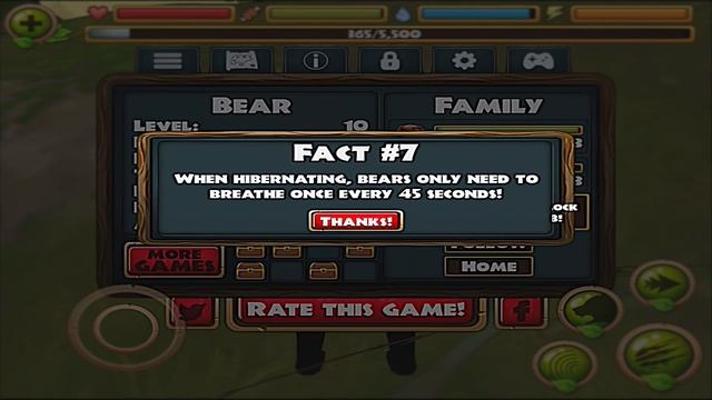 Wildlife Simulator: Bear - Compatible with iPhone, iPad, and iPod touch.optimized for iPhone 5. смотреть онлайн