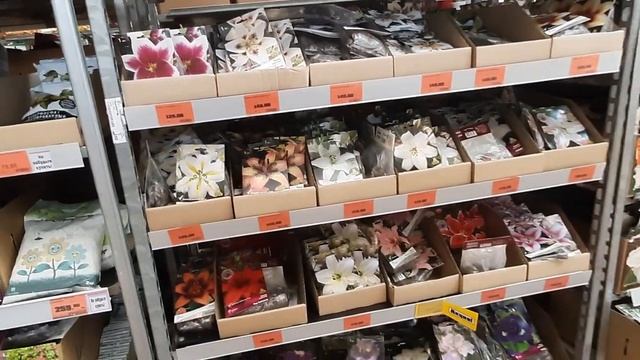 ОБИ. ВЕСЬ Ассортимент,лилейники 50% АКЦИЯ.С Днём Победы? смотреть онлайн