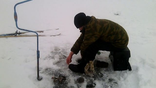 Кострома-рыбалка 01 02 2020г смотреть онлайн