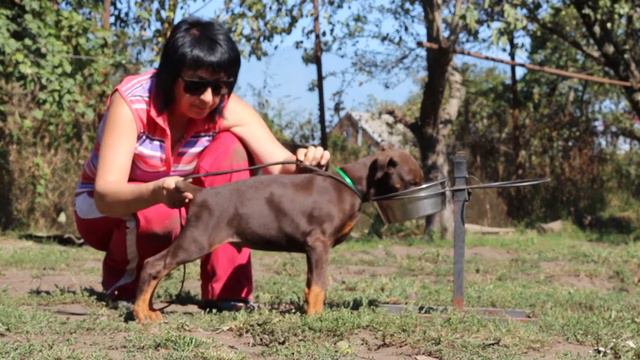 Яхмос Ямос 2 мес смотреть онлайн