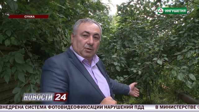 Экологический рейд. смотреть онлайн