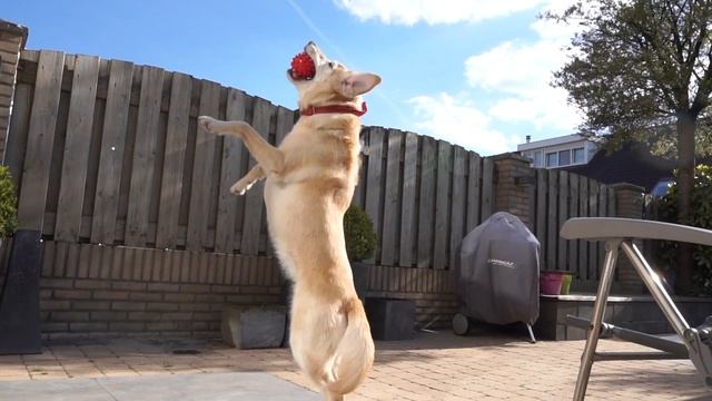 Test Sony Alpha 6300 смотреть онлайн