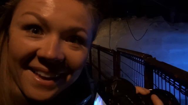 Япония, ЛЕС СМЕРТИ" или же "ЯПОНСКИЙ ЛЕС САМОУБИЙЦ. Аокигахара ?? смотреть онлайн