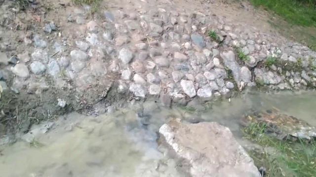Отравление ручья в Голосовом овраге (музей-заповедник Коломенское) смотреть онлайн