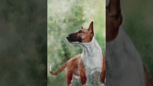 Бультерьер рисунок / bullterrier painting #procreate #shorts смотреть онлайн