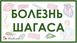 Трипаносомоз - Болезнь Шагаса： цикл трипаносомы, механизм развития, проявления, принципы лечения